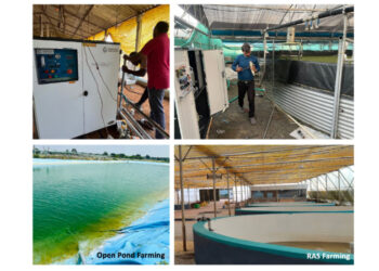 India’s First Nanobubble Pioneer: How Prasinos Made World-Class Technology Affordable for Everyone